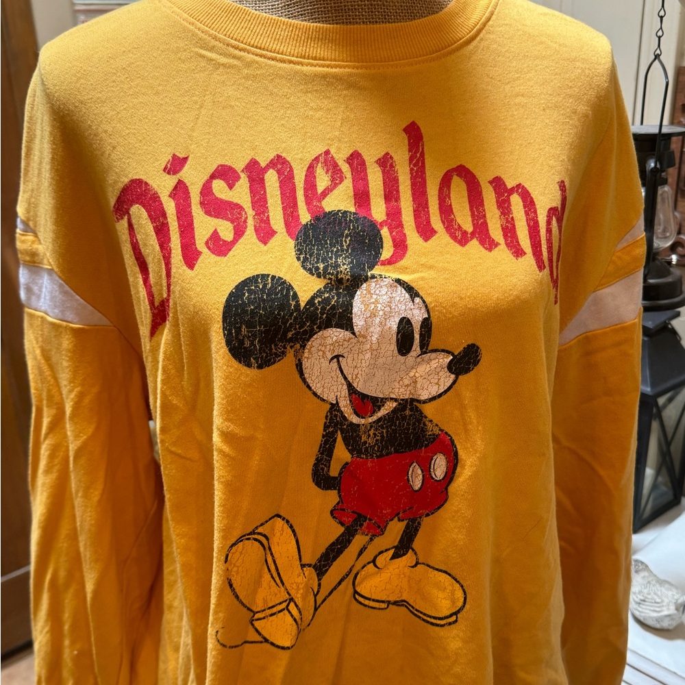 Disney Crop Top Sweatshirt